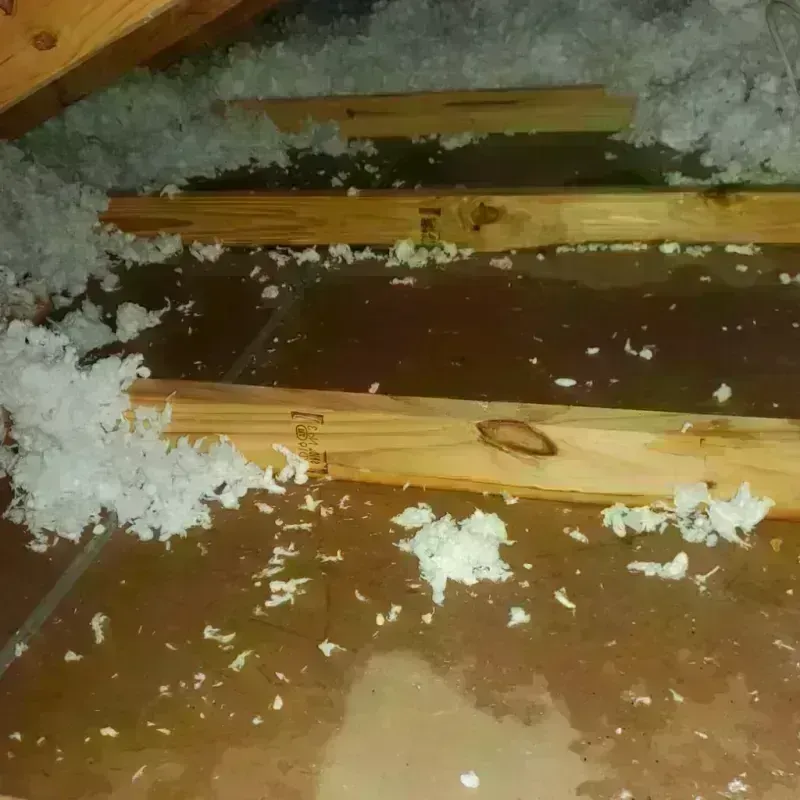 Attic Water Damage in Harrison County, IA