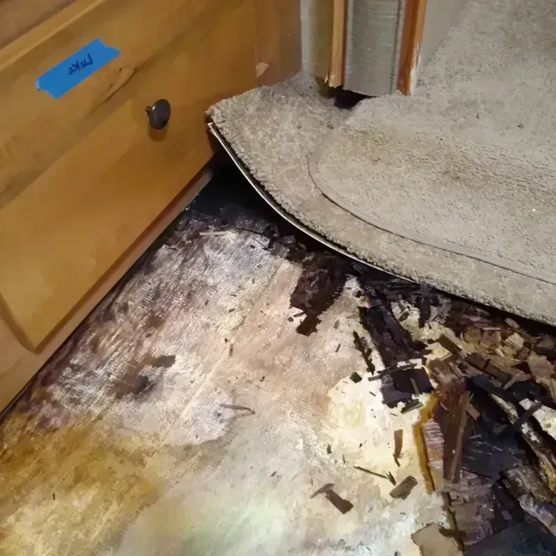 Best Wood Floor Water Damage Service in Harrison County, IA